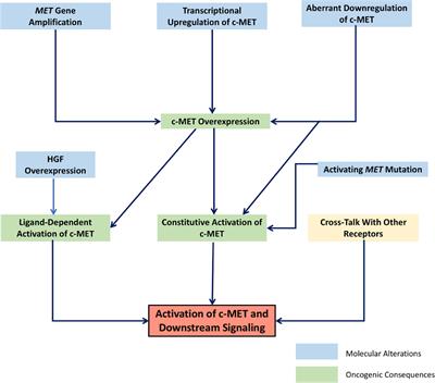 The hepatocyte growth factor/mesenchymal epithelial transition factor axis in high-risk pediatric solid tumors and the anti-tumor activity of targeted therapeutic agents